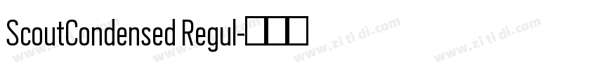ScoutCondensed Regul字体转换